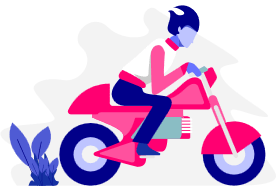 Custom Web App & IT Solutions